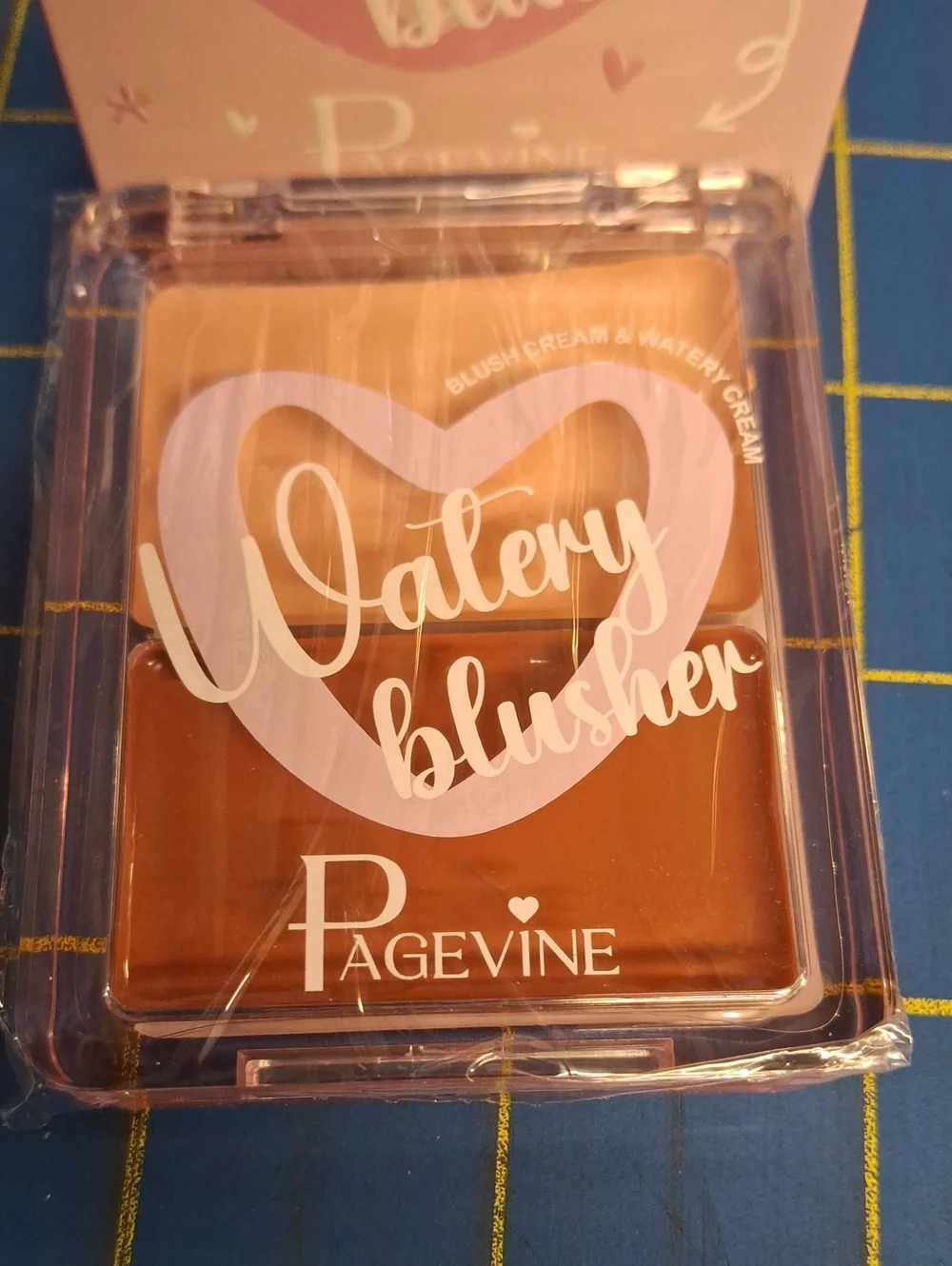 Pagevine Watery Blusher 10g New Sealed Sunshine Fig